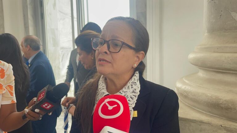 Fiscal de Santiago afirma Ministerio Público apeló decisión en caso de estudiante fallecida durante excursión