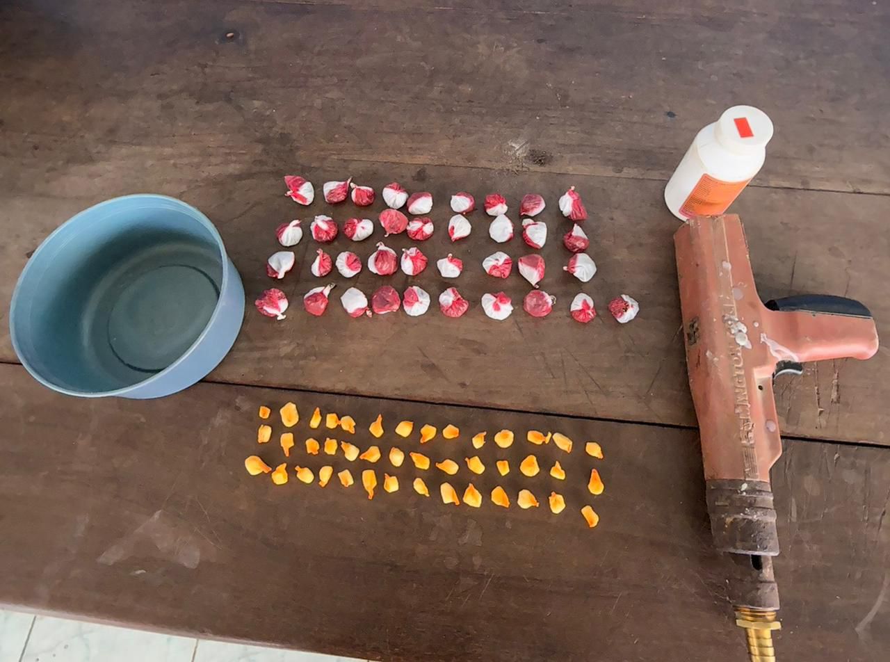 Policía desmantela presunto punto de drogas en Villa Hermosa y ocupa sustancias controladas