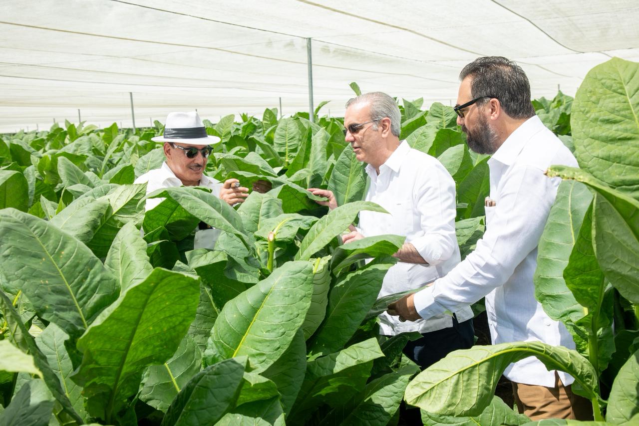 Presidente Abinader visita finca tabacalera “La Milagrosa” de Arturo Fuente en Monte Plata.
