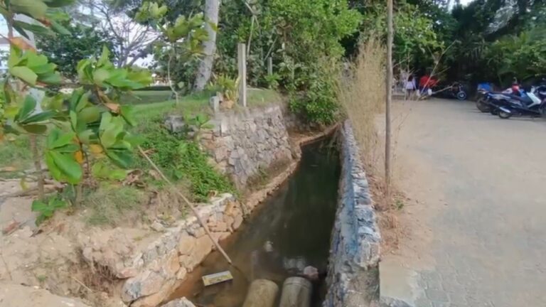 Alerta ambiental en Playa Bonita, Las Terrenas; genera preocupación en Samaná