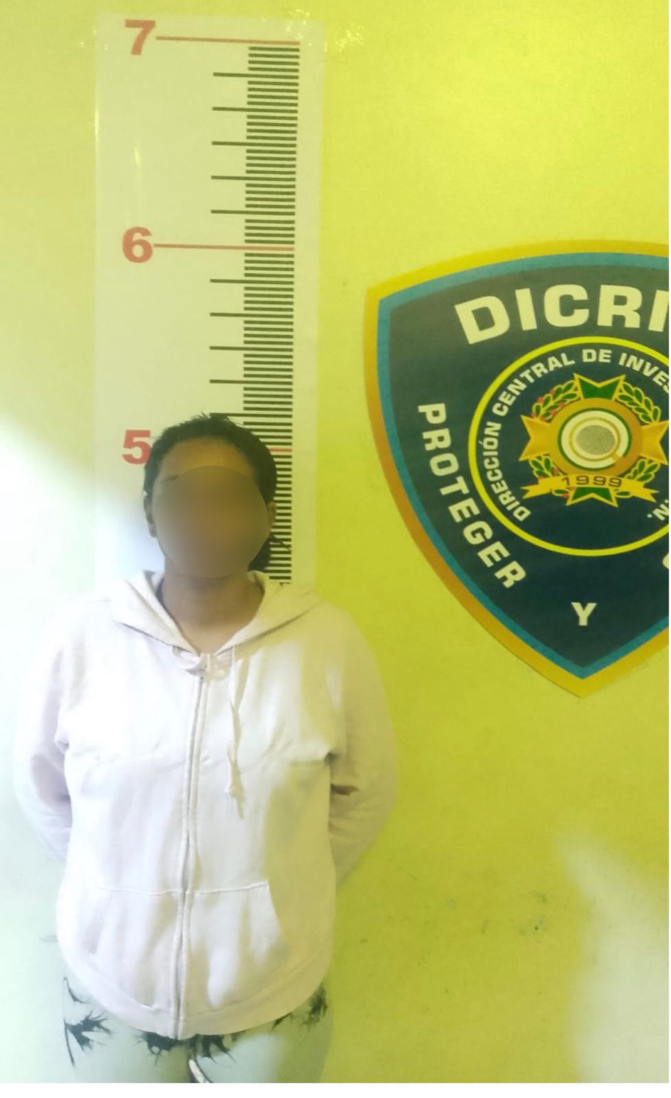 Policía Nacional apresa mujer con orden de arresto por delito electrónico en La Vega