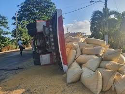 Camión cargado de arroz se vuelca en canal de riego en La Vega; conductor logra salir a tiempo