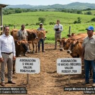 Beneficiarios del programa “Regreso al Campo” del FEDA concentraron hasta diez vacas