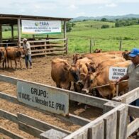 Beneficiarios del programa “Regreso al Campo” del FEDA también aparecen vinculados a la institución