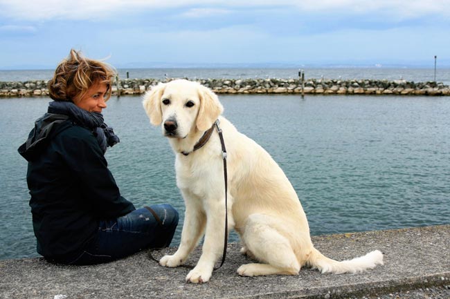 Día Internacional del Perro Guía