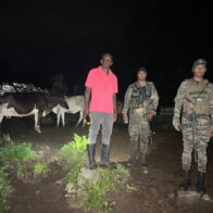 Ejército recupera 18 reses sustraídas en Loma de Cabrera, Dajabón