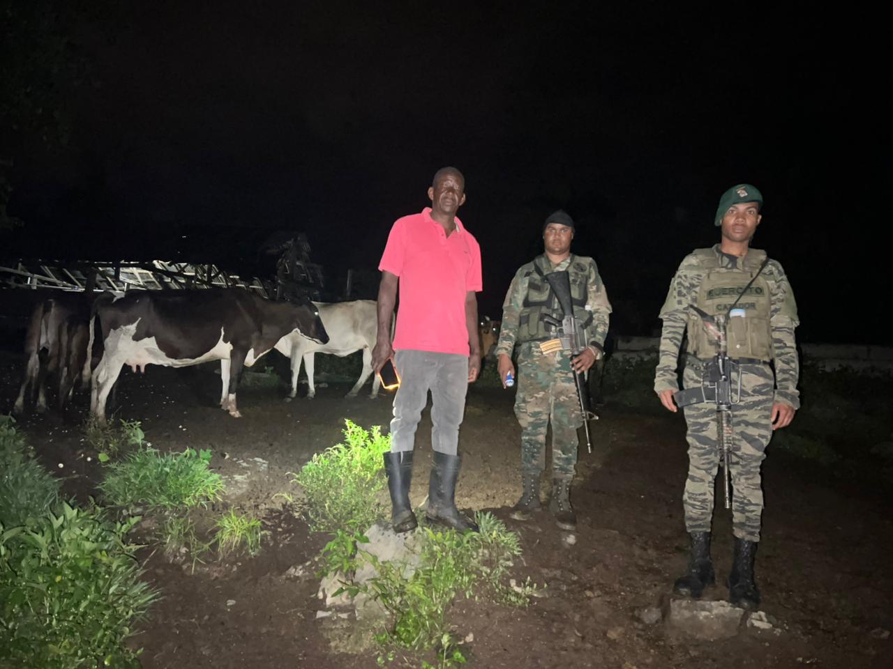 Ejército recupera 18 reses sustraídas en Loma de Cabrera, Dajabón