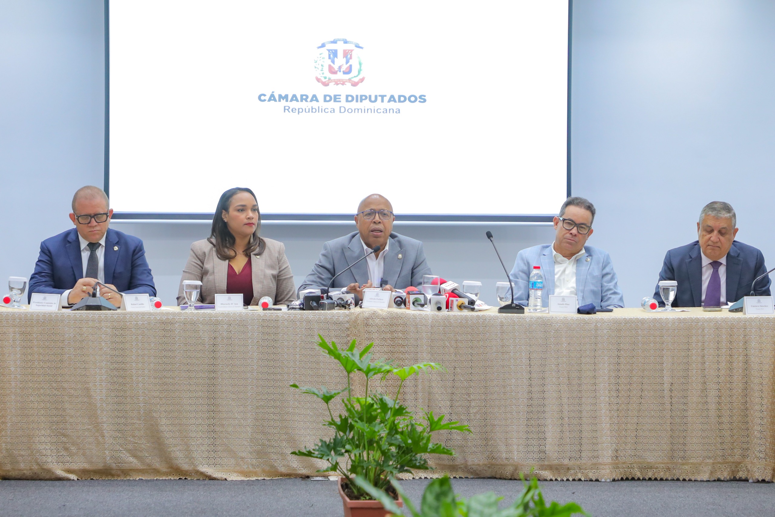 Cámara de Diputados impulsará “ola” de aprobación de proyectos para reducir mora legislativa
