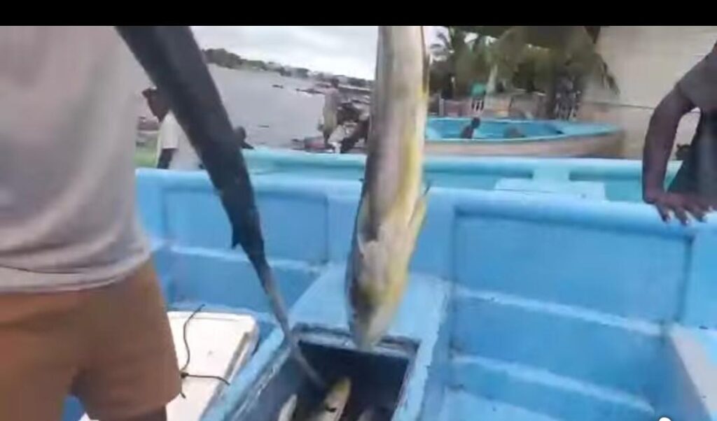 Indignación entre pescadores de San Pedro de Macorís por acusaciones de narcotráfico