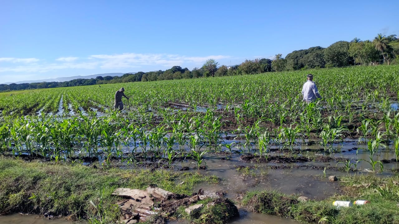 Operativos en zonas agrícolas.