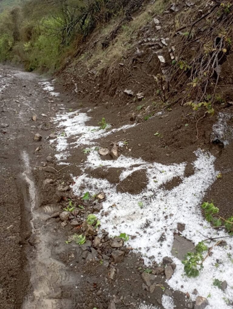 Inusual granizada impacta zona montañosa de Peralta, Azua