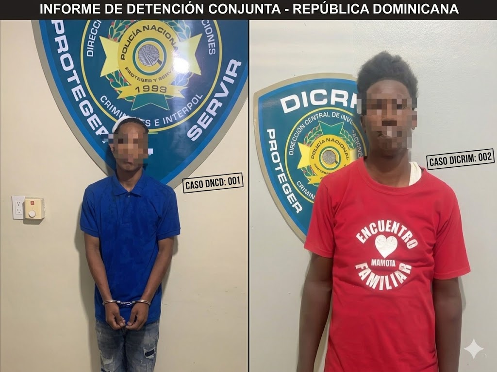 DICRIM apresa a “Genial”, “Campe” y otros antisociales en operativos en Villa Mella