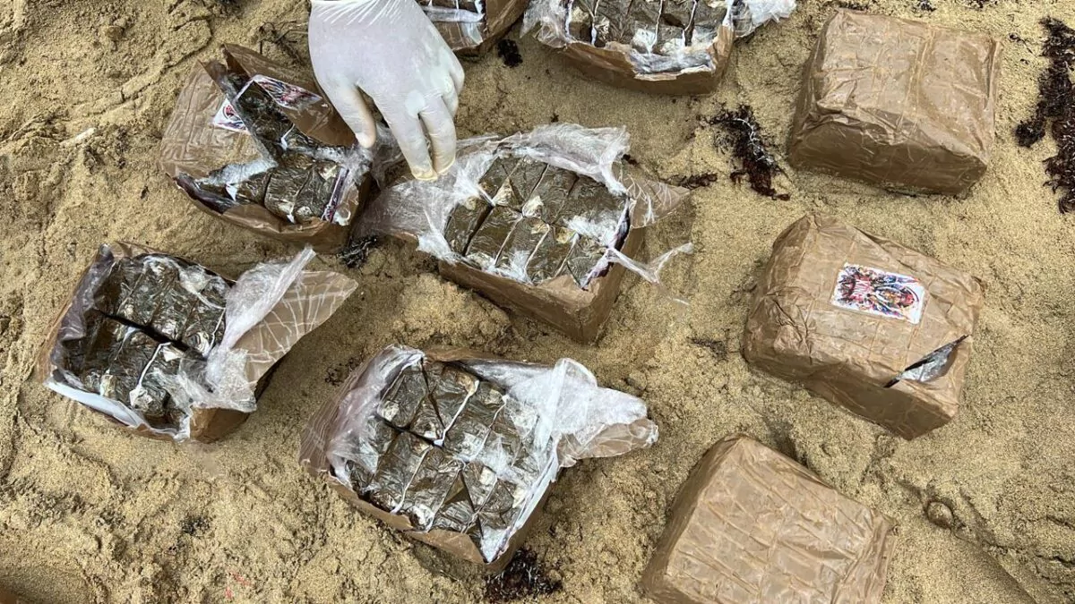 DNCD y Armada incautan 19 pacas de hachís en operativo en Miches