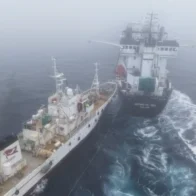 Un grupo de activistas es acusado de "ataque terrorista" tras colisionar con un arrastrero de krill antártico.
