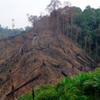 Alemania endurece las penas y multas por graves delitos medioambientales