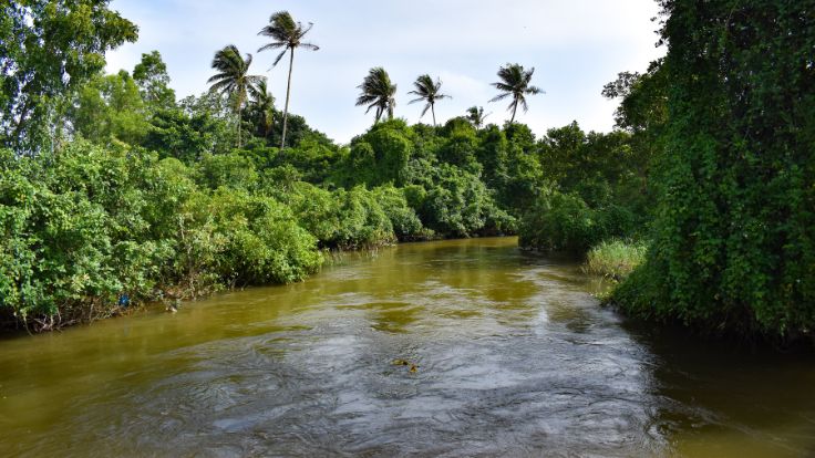 Tragedia enluta a Dajabón: adulto mayor muere en río de La Luisa