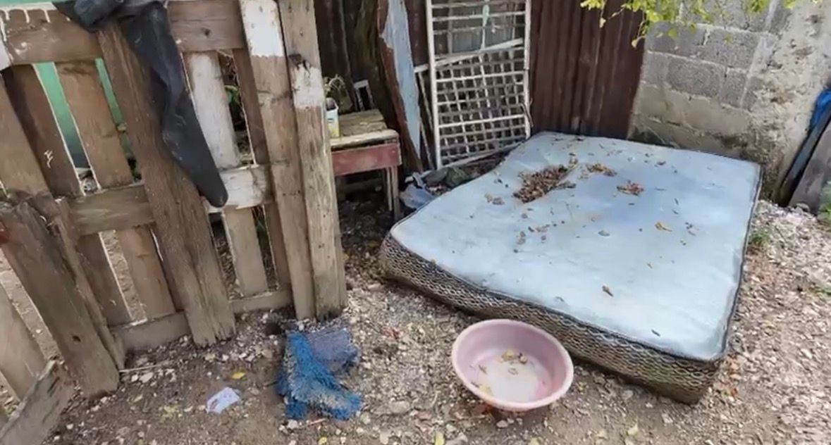 Residentes de Los Girasoles alzan la voz por pérdidas y temor tras inundaciones por lluvias
