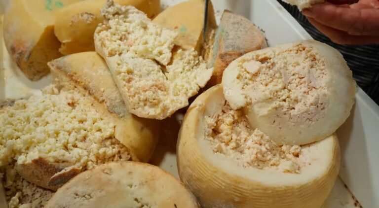 Larvas vivas, sabor extremo y redes ilegales: así es el queso más peligroso del mundo