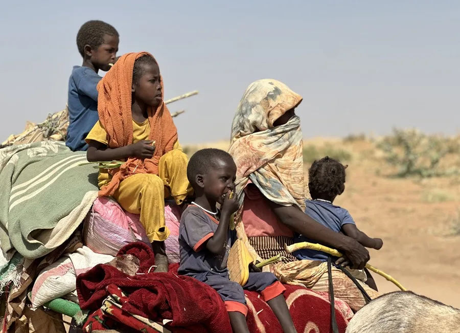 Más de 82 millones de personas son desplazados internos por guerras y desastres naturales en el mundo