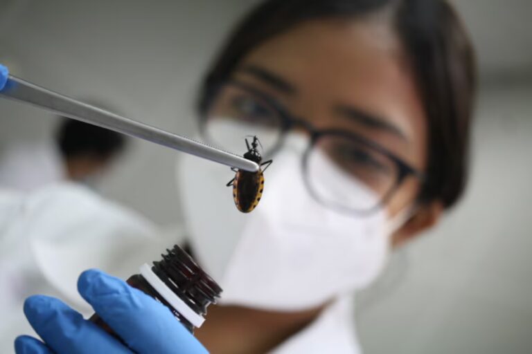 Detectan enfermedad de Chagas en el 4.4% de las embarazadas en la zona occidental de El Salvador