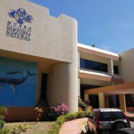 Inicia la Noche Larga de Museos 2026 con acceso gratuito y actividades culturales para toda la familia
