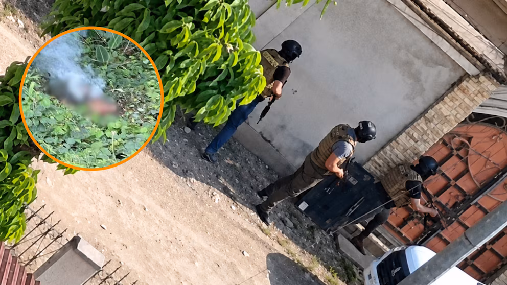 Honduras conmocionada: hallan descuartizados y quemados a cinco agentes de la Dipampco en Omoa