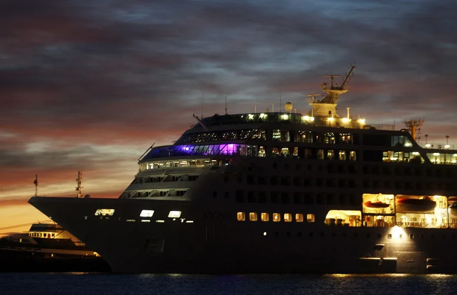 Tres muertos en un crucero que partió de Argentina donde la OMS investiga un brote de hantavirus
