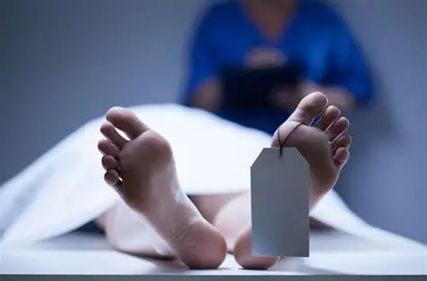 Mujer es hallada muerta y en avanzado estado de descomposición dentro de vivienda en Santiago
