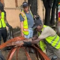 Brigadas del ADN intervienen sectores vulnerables para prevenir inundaciones urbanas