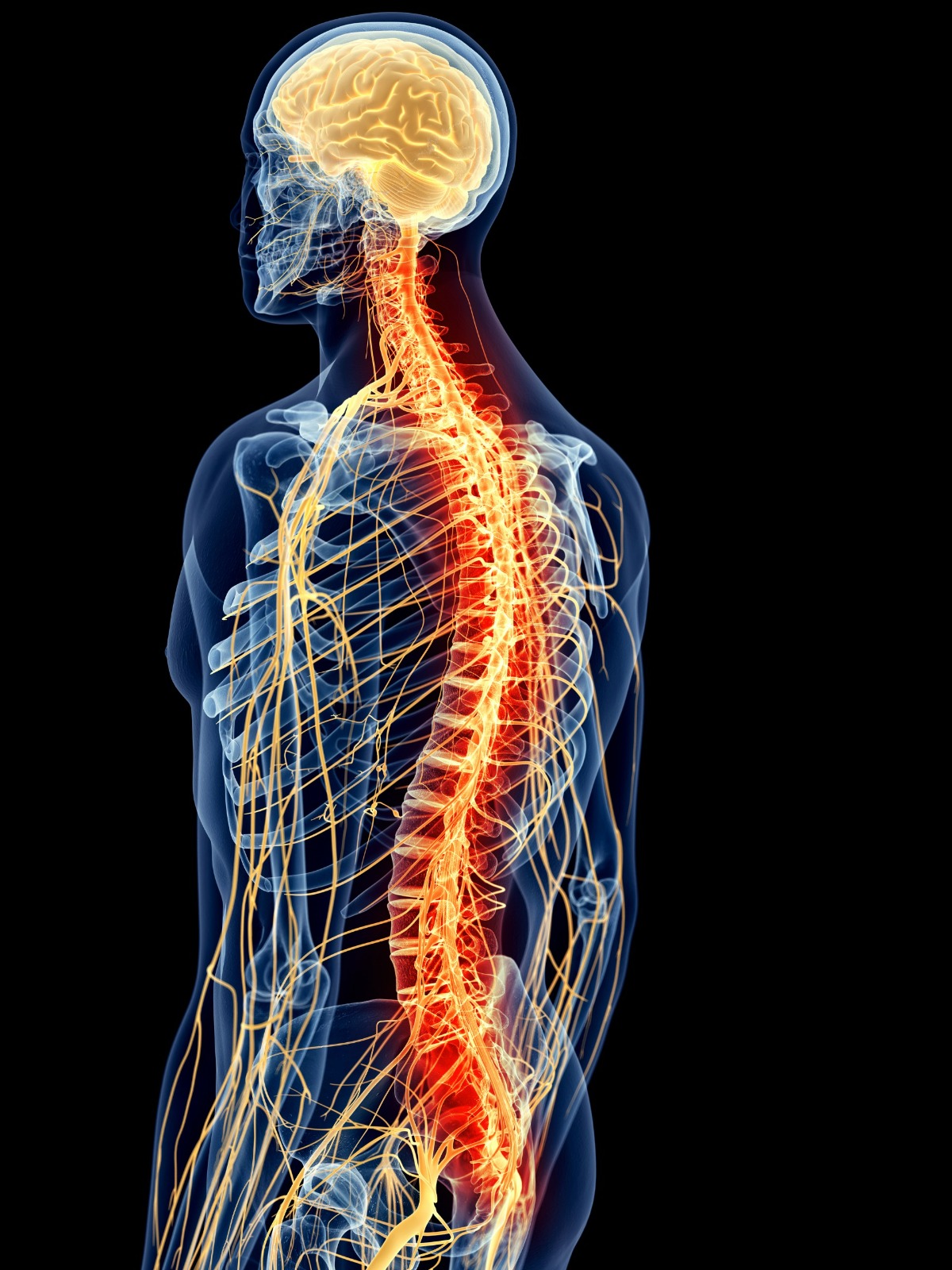 Cómo vivir con esclerosis múltiple y manejar los síntomas para mejorar tu calidad de vida