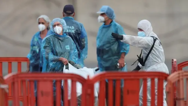 Países Bajos descarta casos de hantavirus en pasajeros repatriados de crucero