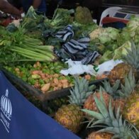 Inespre ofrece alimentos a precios reducidos en jornada especial en Cristo Rey