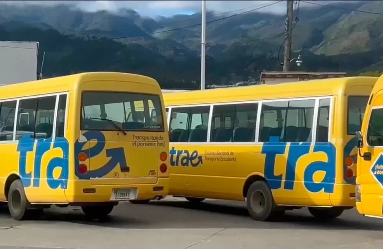 Roban baterías de transporte escolar y dejan a estudiantes sin poder asistir a clases en Constanza