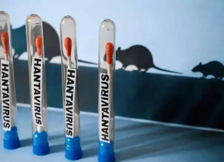 La OMS mantiene en once los casos de hantavirus y un riesgo bajo para la población