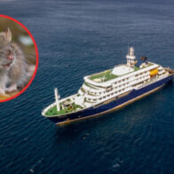 La OMS eleva a 8 los casos de hantavirus en el crucero que salió desde Argentina