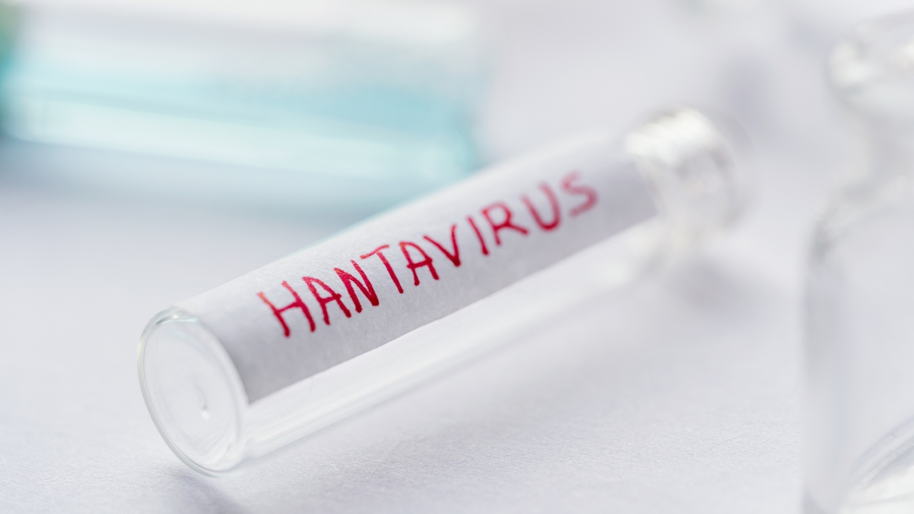 OMS eleva a 11 los casos de hantavirus vinculados a crucero MV Hondius