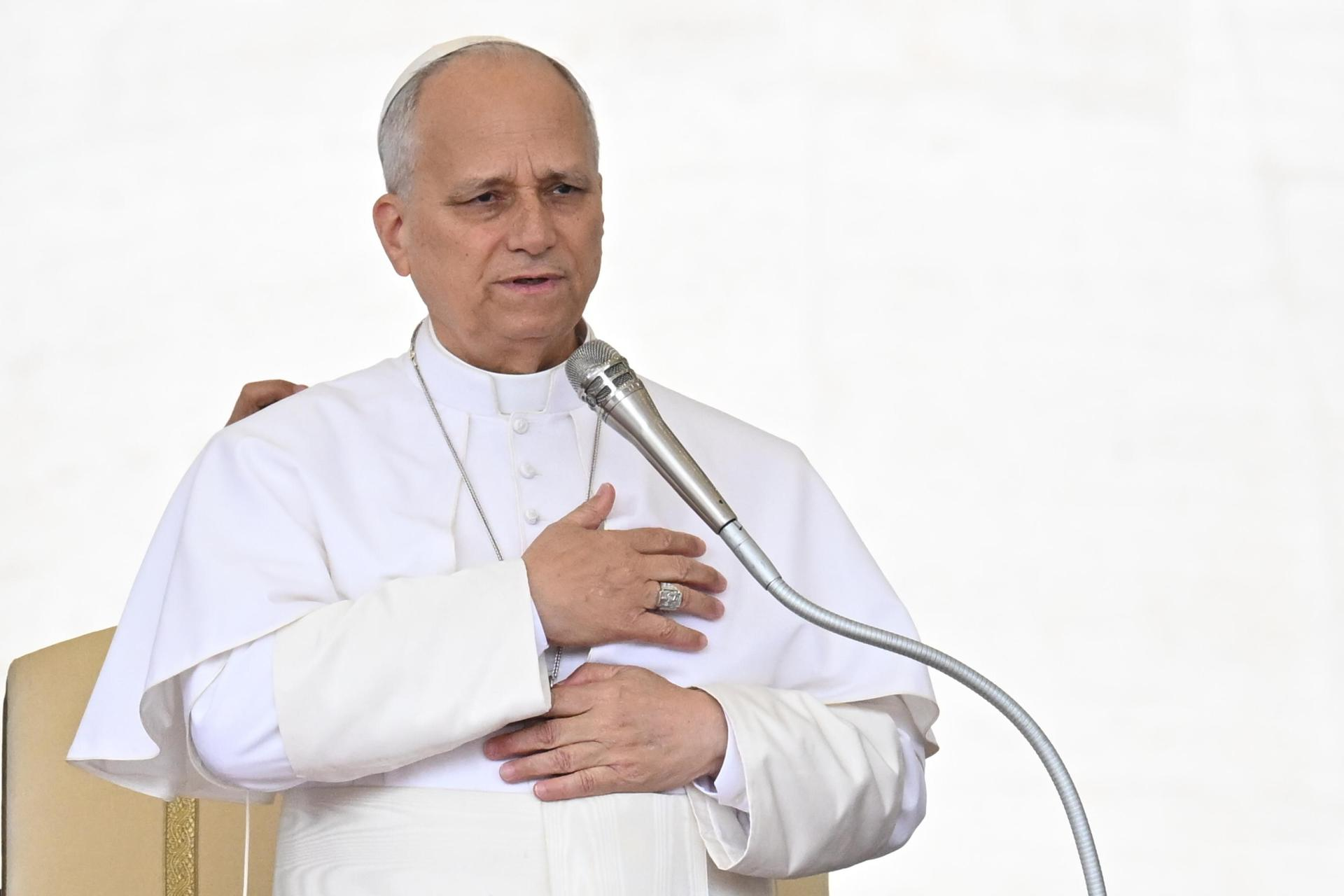 El papa lamenta que las guerras han frenado avances sobre el cuidado del medio ambiente