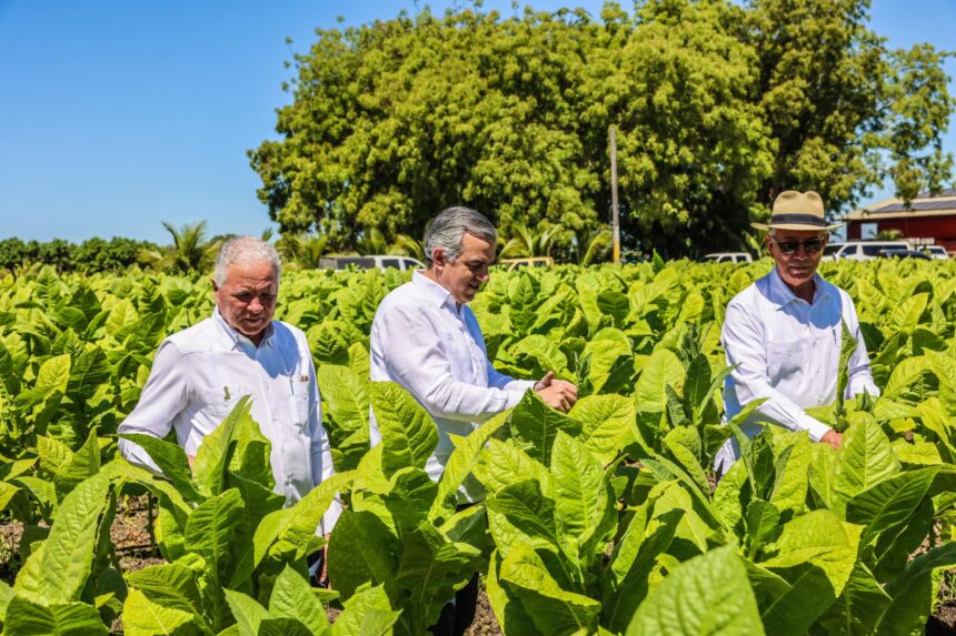 RD reporta 1.359 millones de dólares en exportaciones de tabaco en 2025