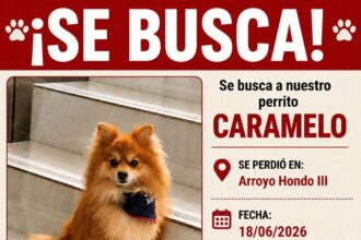 Buscan a “Caramelo”, un perro pomerania desaparecido en Arroyo Hondo III