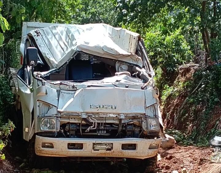 Camión cargado de tayotas se vuelca en Manabao