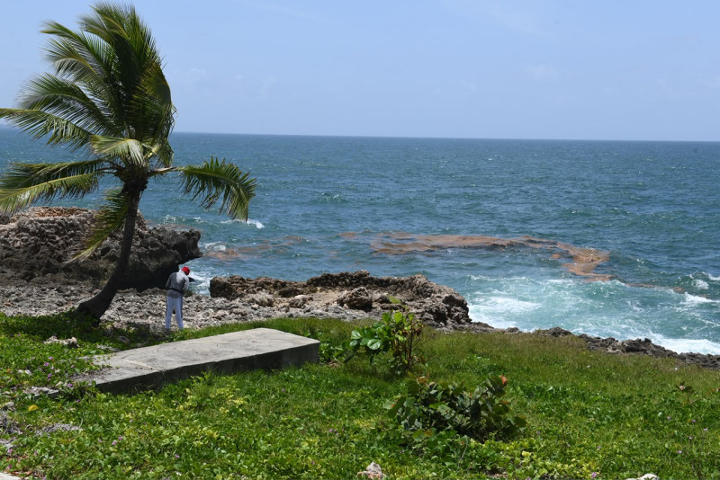 Rastros de sargazo llegan al Malecón de Santo Domingo
