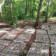 Ejército de Nicaragua incauta 475 paquetes de cocaína cerca de frontera con Costa Rica