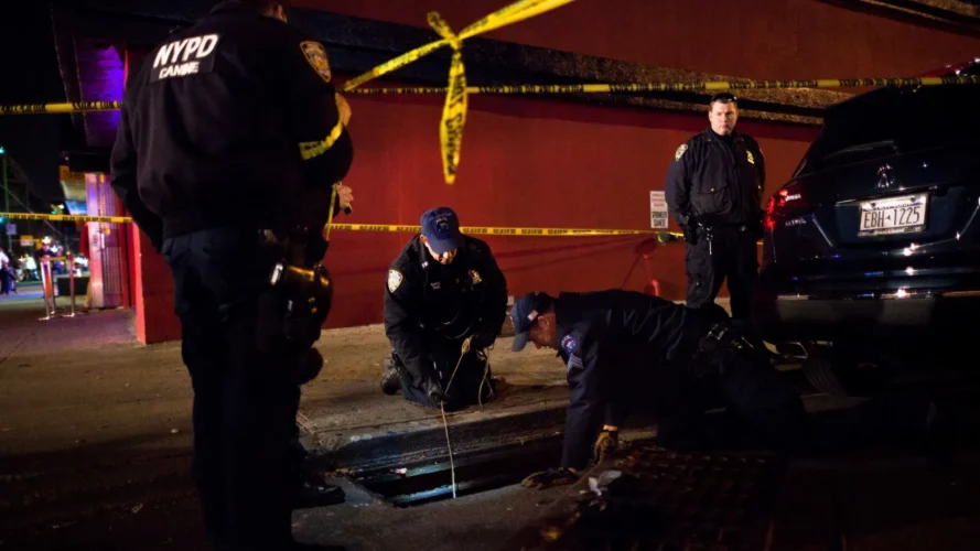 NYPD investiga extraños ingresos a alcantarillas en Brooklyn;