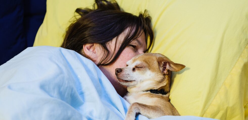 Dormir con mascotas: estudios revelan beneficios emocionales, pero también riesgos