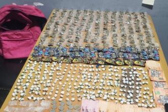 Autoridades incautan más de 7 mil gramos de drogas en SPM