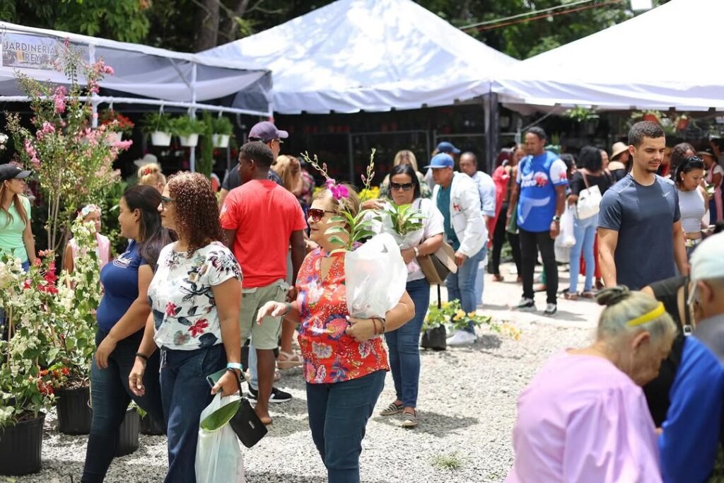 Jarabacoa celebra los 15 años del Festival de las Flores con una edición histórica