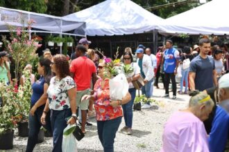 Jarabacoa celebra los 15 años del Festival de las Flores con una edición histórica