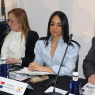 Faride Raful llama a fortalecer la cooperación internacional para enfrentar los desafíos migratorios