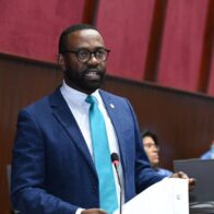 Diputado Carlos de Pérez cuestiona funcionamiento de CONANI y pide reformas al sistema de protección infantil