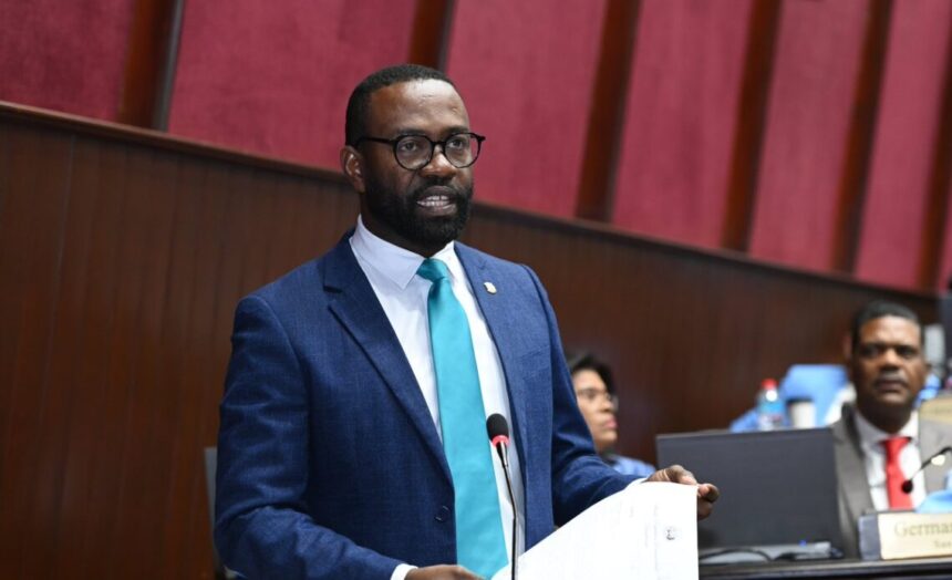 Diputado Carlos de Pérez cuestiona funcionamiento de CONANI y pide reformas al sistema de protección infantil